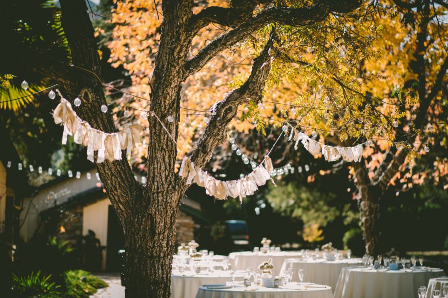 backyard wedding with white tablecloths and hanging lights in trees